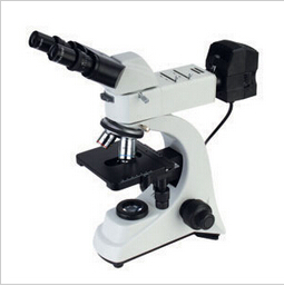 FLY-HW金相显微镜