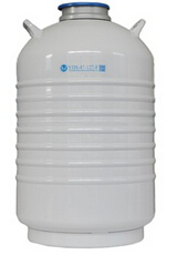 四川盛杰YDS-10-125 液氮罐