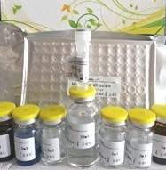 人血管紧张素Ⅱ(ANGⅡ)ELISA检测试剂盒