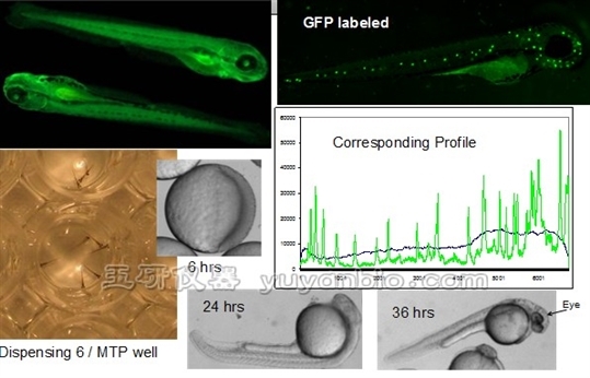 斑马鱼多维表型研究系统