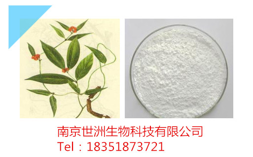 10-去乙酰紫杉醇