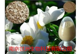 红景天苷