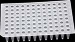 200ul 96孔PCR板-无裙边
