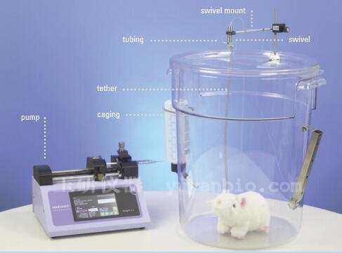 大鼠清醒给药仪