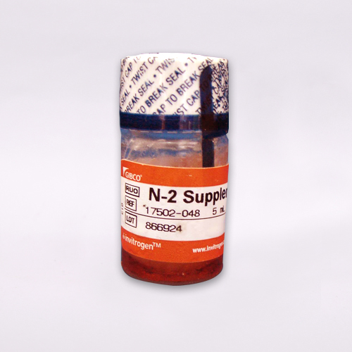 N-2 Supplement (100×)
