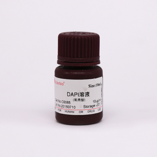 DAPI溶液(即用型)