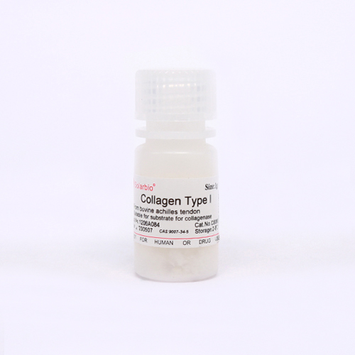 Collgen TypeⅠ  胶原蛋白Ⅰ型（9007-34-5）