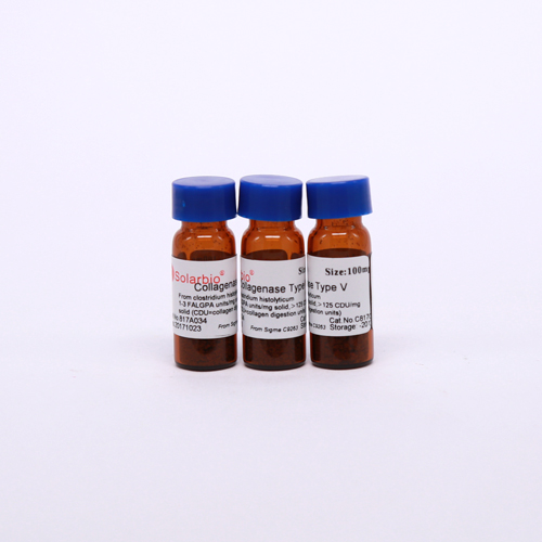 CollagenaseⅤ 胶原酶Ⅴ