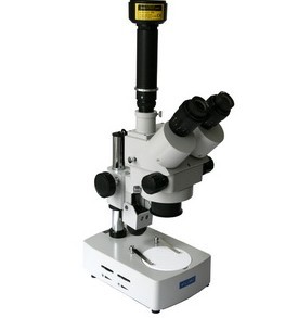 XTL24体视显微镜