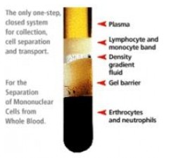 阳性质控人血清,血浆-Individual Units