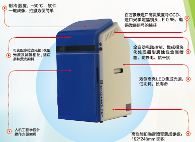 化学发光成像系统