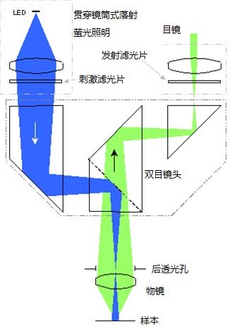 贯穿镜筒式显微镜用落射萤光照明