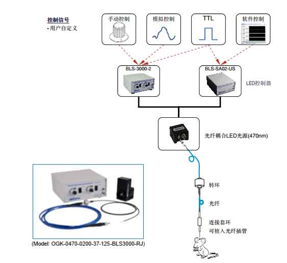 光遗传启动套件