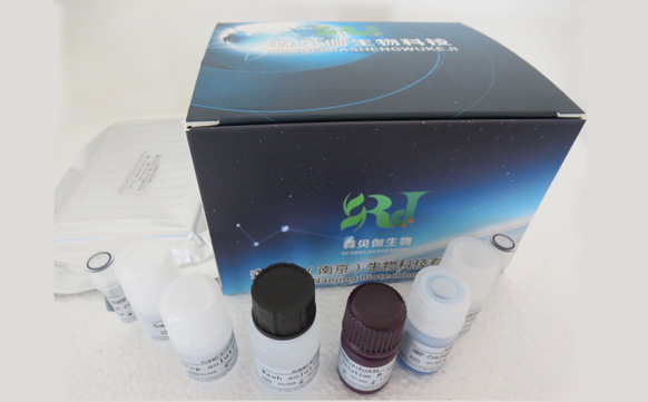 人白细胞介素-2(IL-2)ELISA KIT