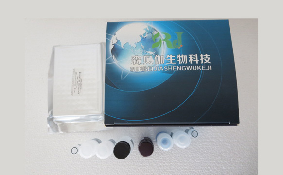 人足细胞标记蛋白/足盂蛋白(PCX)ELISA KIT