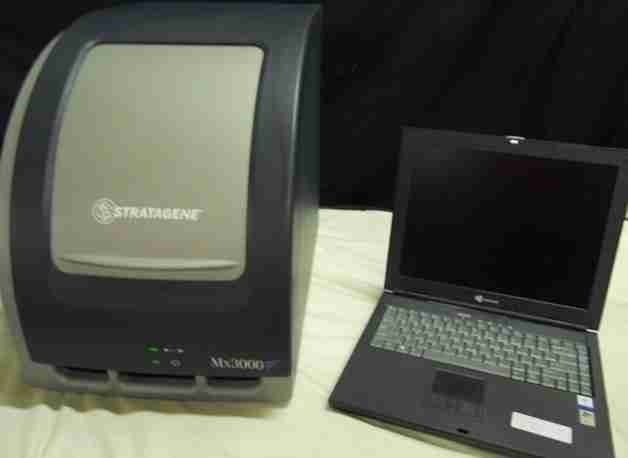 Mx3000P,StrataGene,Agilent,定量PCR仪