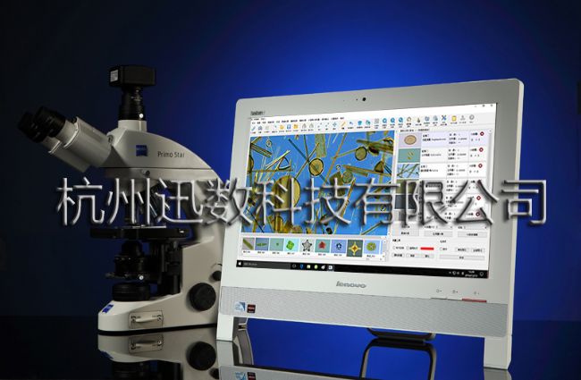 迅数T100藻类智能鉴定计数