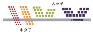 DNA超滤离心管