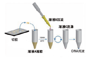 一管式DNA胶回收试剂