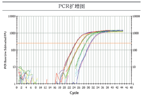 即用型荧光定量PCR试剂盒