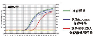 miRNA荧光定量RT-PCR检测试剂盒