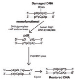 https://msimg.bioon.com/bionline/goods-no-pic.png