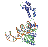 T4 RNA 连接酶 2（截短型 ）