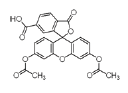 6-羧基二乙酸荧光素