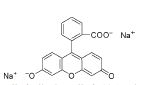 荧光素钠