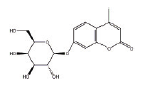 4-甲基伞形酮-β-D-葡糖苷酸