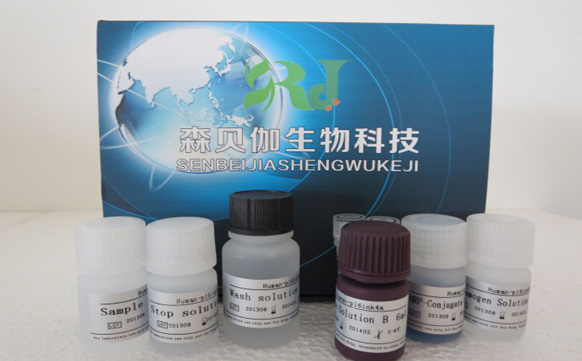 人基质金属蛋白酶-9(MMP-9)ELISA试剂盒