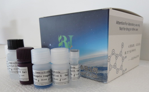 人Bcl-2相关X蛋白(BAX)ELISA试剂盒