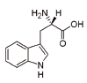 L-色氨酸