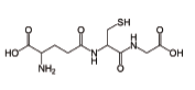 L-谷胱甘肽