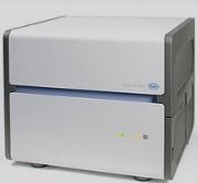 Roche LightCycler 480 实时荧光定量PCR仪