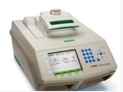 bio-rad|Biorad（dealer）C1000 96深孔梯度PCR仪