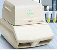 Biorad（dealer）CFX Connect 实时荧光定量PCR仪