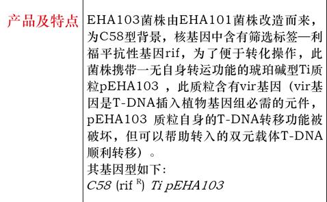 农杆菌EHA105菌种