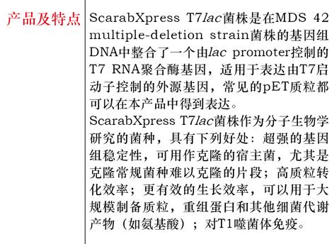 大肠杆菌ScarabXpress T7lac菌种