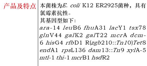 大肠杆菌ER2529菌种