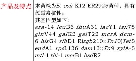 大肠杆菌HB101菌种