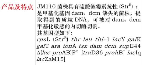 大肠杆菌JM83菌种