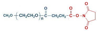 mPEG-SS 单甲氧基聚乙二醇 琥珀酰亚胺琥珀酸酯 mPEG-Succinimidyl Succinate