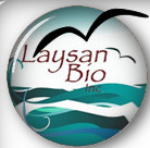 Laysanbio超声造影剂