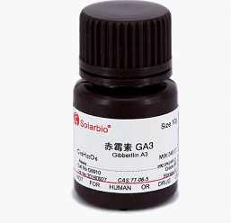 Gibberellic Acid(GA3)  赤霉素