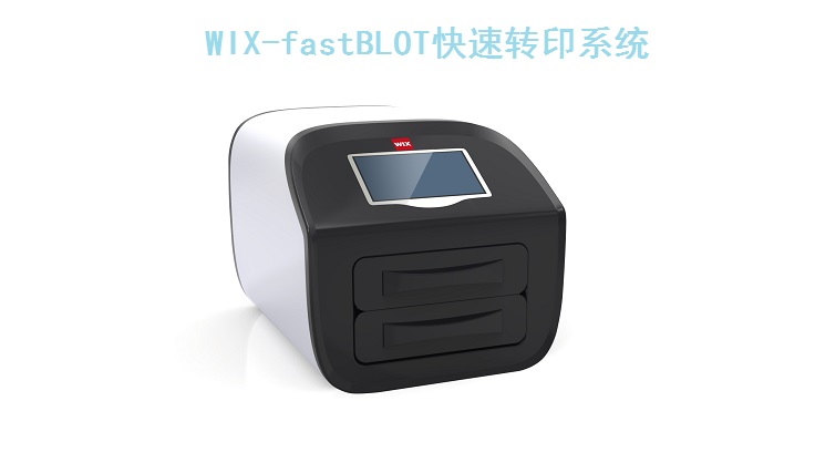 WIX-fastBLOT快速转印系统