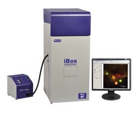 iBox Explorer 活体小动物荧光显微成像系统