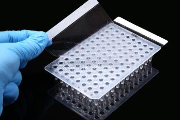 NEST PCR封板膜