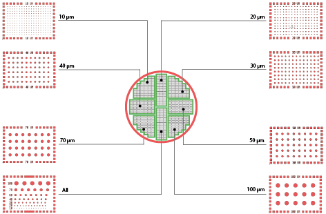 Micropatterned Dish 微图案芯片