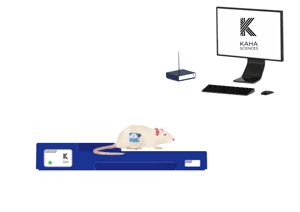 大鼠心率遥测系统，大鼠心率测量仪